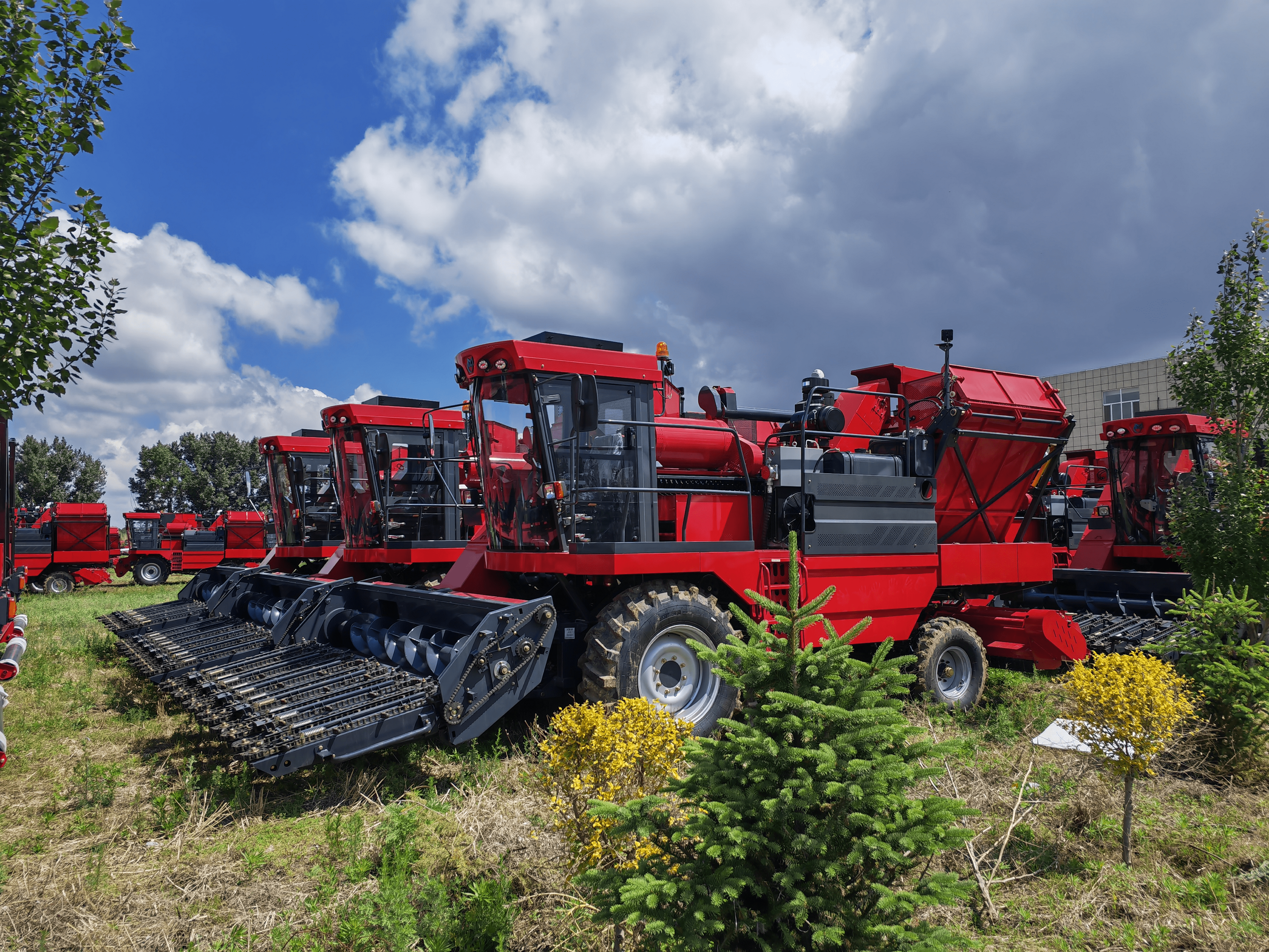 Colhedoras de milho automotrizes Self Propelled Corn Harvesters